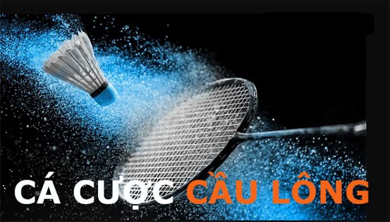 Cá cược kèo tài xỉu trong Cầu lông dự đoán tổng số hai vận động viên 